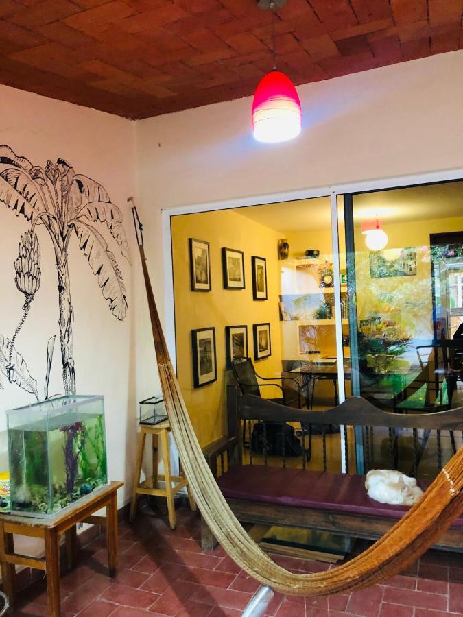 Los Nardos Hostel -Pet Friendly- Oaxaca Exterior foto