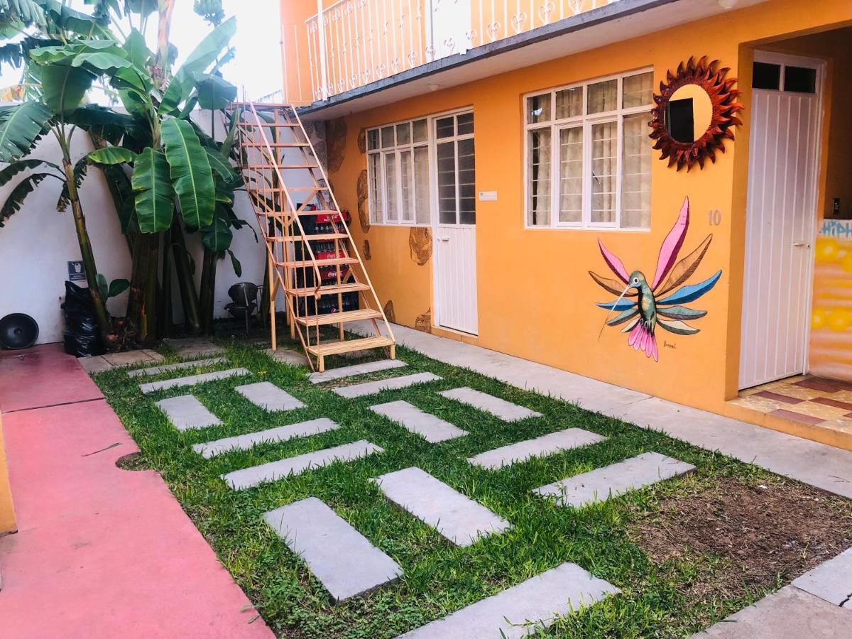 Los Nardos Hostel -Pet Friendly- Oaxaca Exterior foto