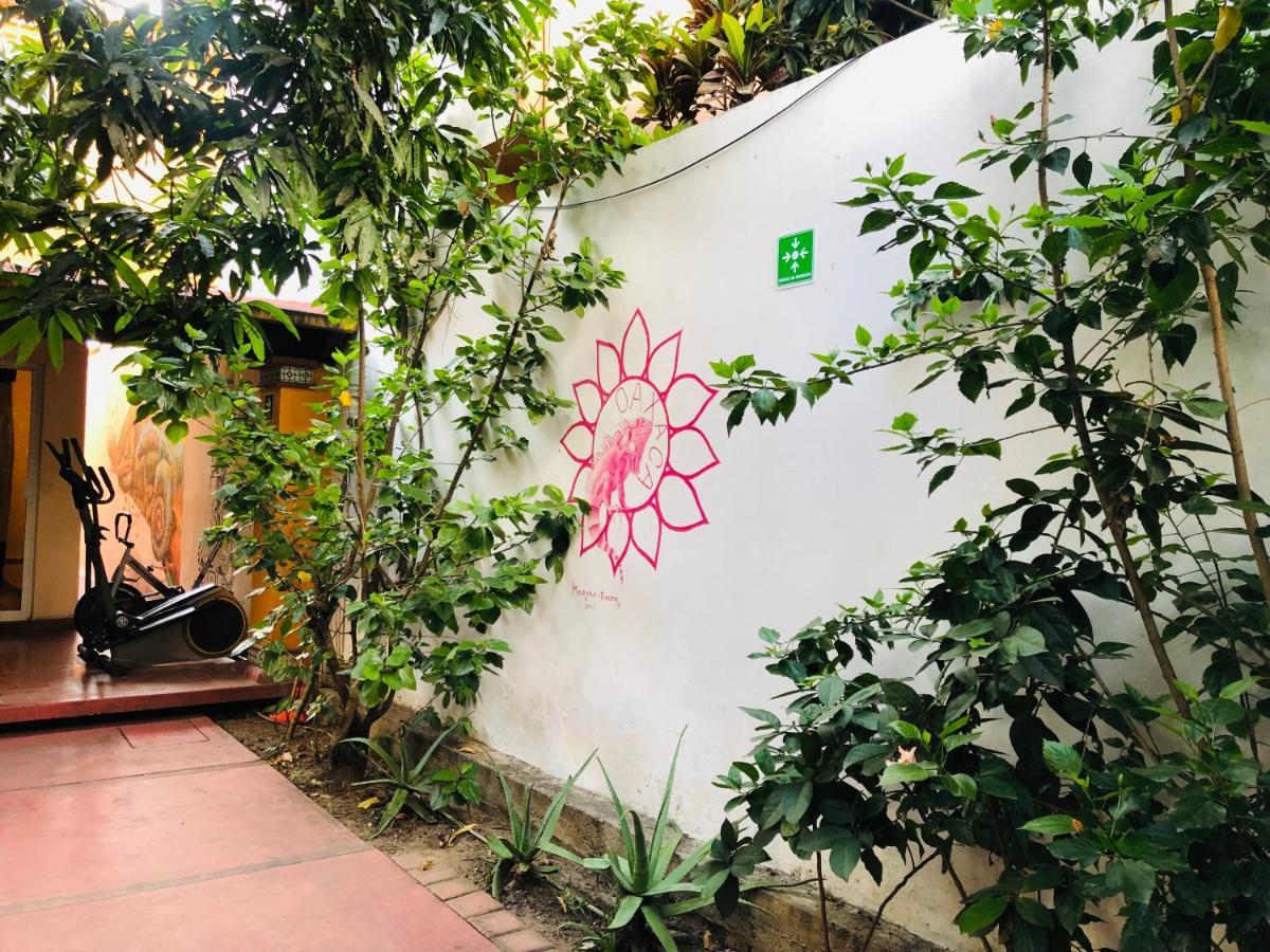 Los Nardos Hostel -Pet Friendly- Oaxaca Exterior foto