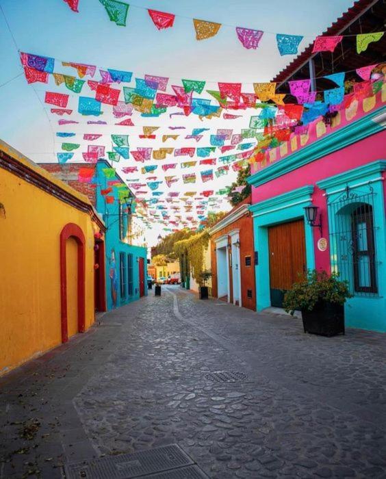 Los Nardos Hostel -Pet Friendly- Oaxaca Exterior foto