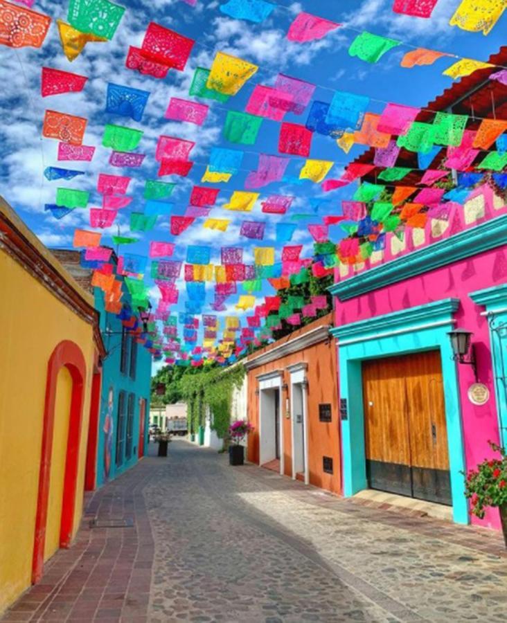 Los Nardos Hostel -Pet Friendly- Oaxaca Exterior foto