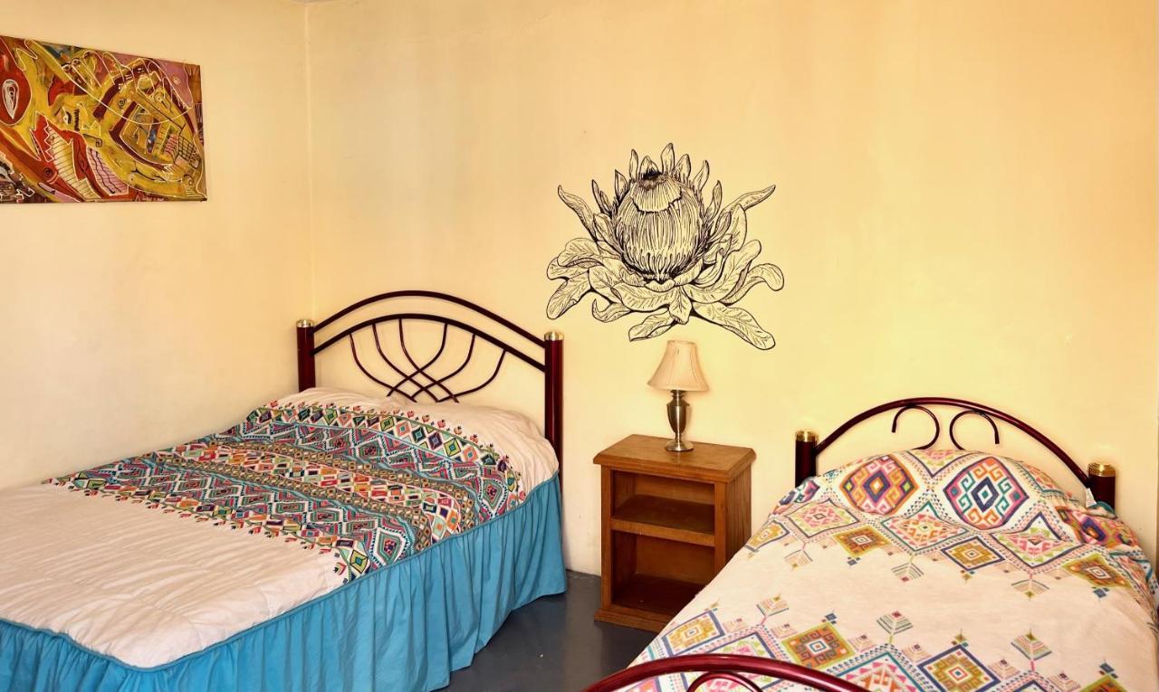 Los Nardos Hostel -Pet Friendly- Oaxaca Exterior foto
