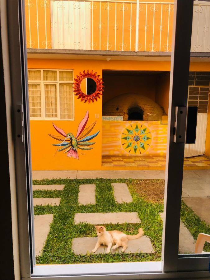 Los Nardos Hostel -Pet Friendly- Oaxaca Exterior foto