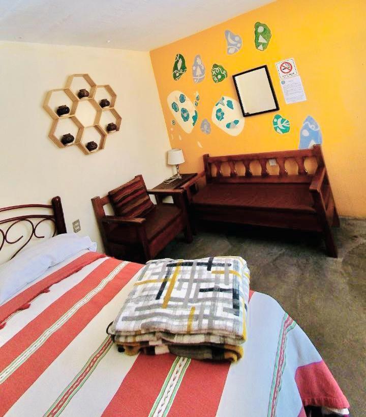 Los Nardos Hostel -Pet Friendly- Oaxaca Exterior foto